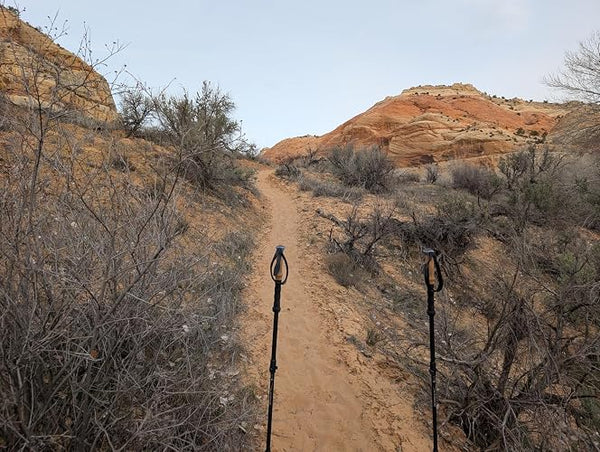 Sturdy poles. Comfortable straps.