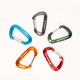 Five colorful carabiners on a white background