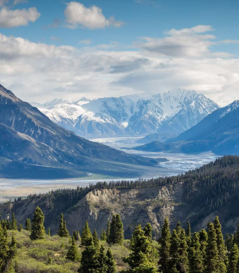 Scenic view of mountains with snow and a valley, surrounded by trees.